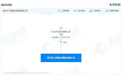 科大訊飛在遵義成立大數據公司，布局網絡文化新賽道