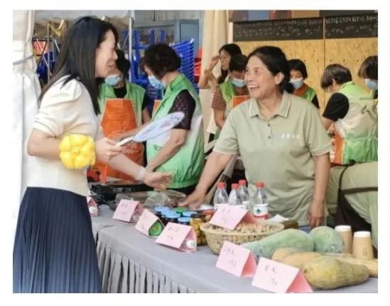 聚焦重大戰(zhàn)略，服務中心大局 嘉定社會組織以專業(yè)咨詢助力經濟社會高質量發(fā)展